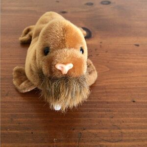 Ty Beanie Baby PAUL the Brown Walrus (7 Inch) NEW MWMTs Stuffed Animal Plush Toy